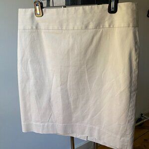 Banana Republic Mini Skirt
